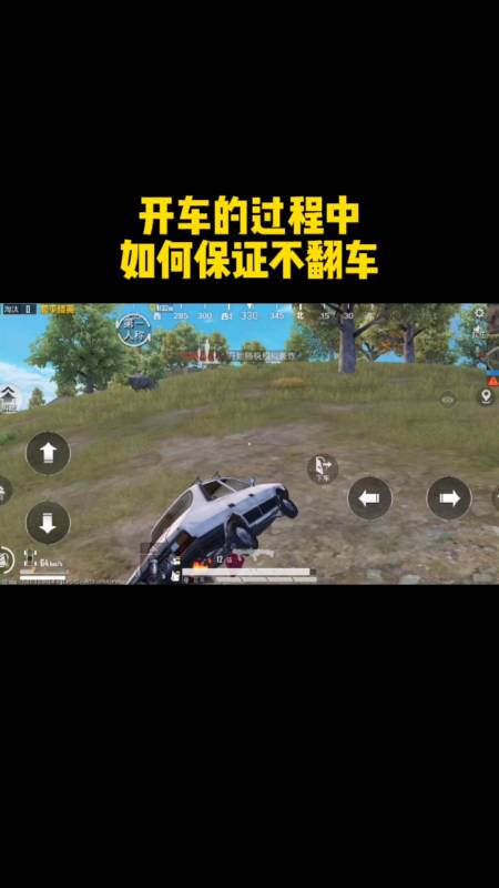 和平精英【雪儿内核】辅助